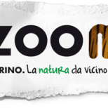 zoom_orig