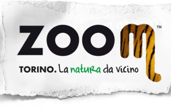 zoom_orig