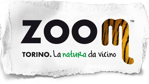 zoom_orig