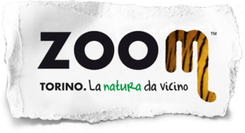 zoom_orig